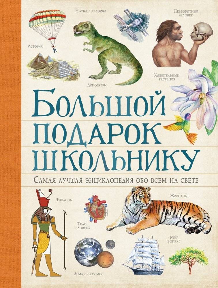 Большой подарок школьнику | A Great Gift for a Schoolchild