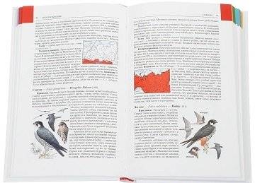 Птицы Сибири. Справочник-определитель (количество томов: 2) фото книги 6