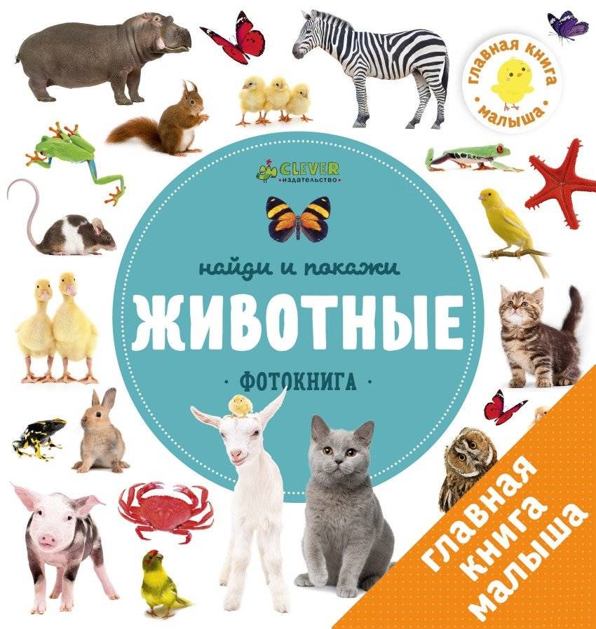 Найди и покажи. Фотокнига. Животные | Look and Find. Photo Book. Animals