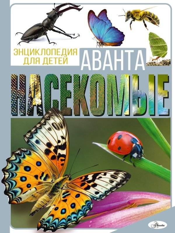 Насекомые | Insects