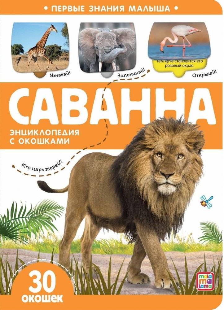 Первые знания малыша. Саванна | Baby's First Knowledge. Savanna