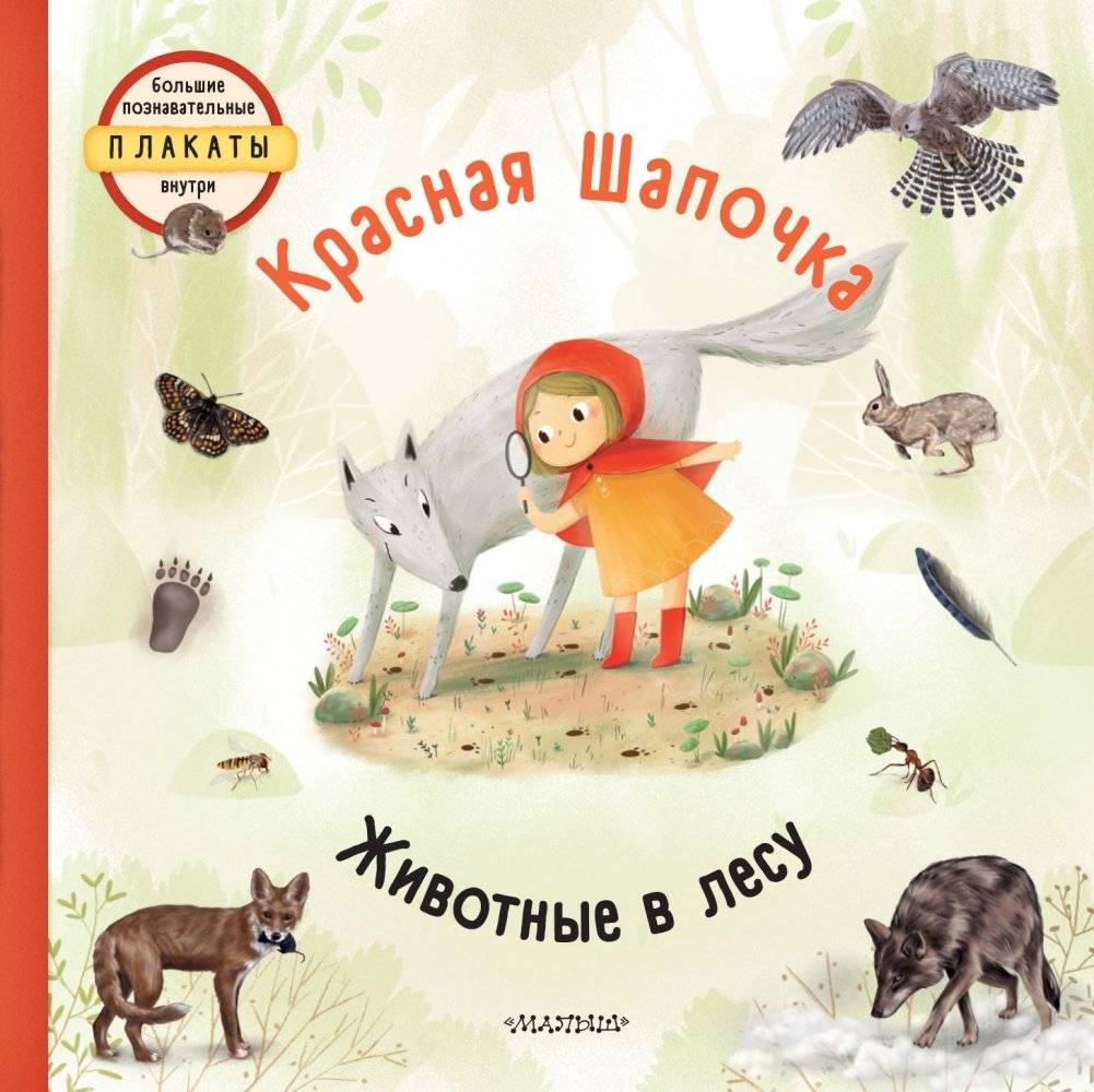 Красная шапочка | Little Red Riding Hood