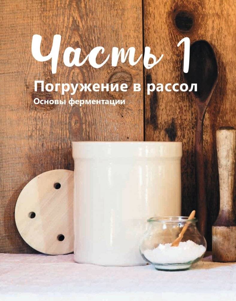 Натуральная ферментация: Оригинальные авторские рецепты квашения 64 овощей и фруктов фото книги 2