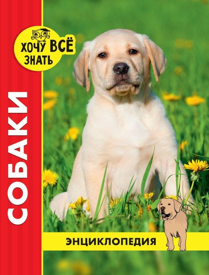 Энциклопедия. Собаки | Encyclopedia. Dogs
