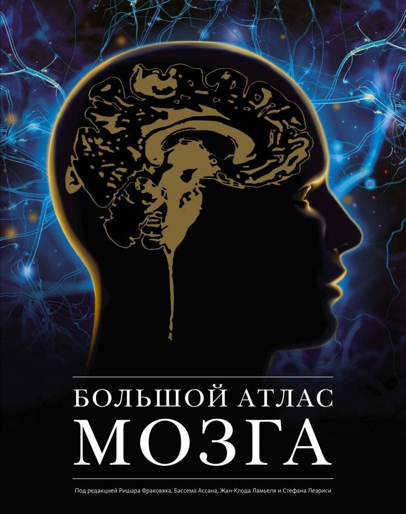 Большой атлас мозга | The Great Atlas of the Brain