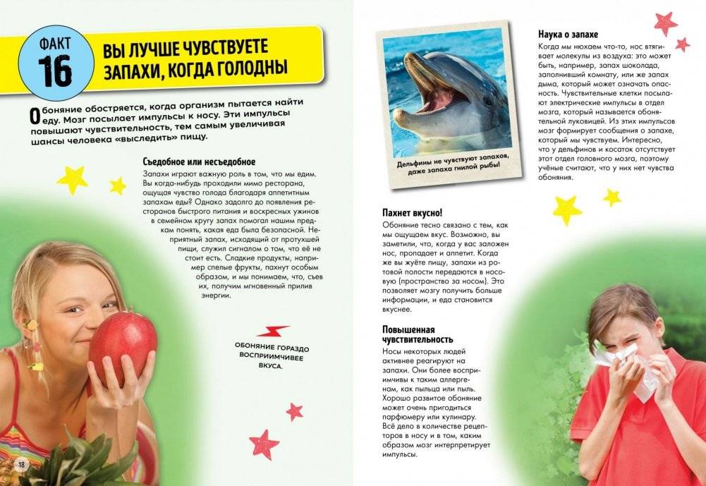 Всё о теле человека фото книги 5