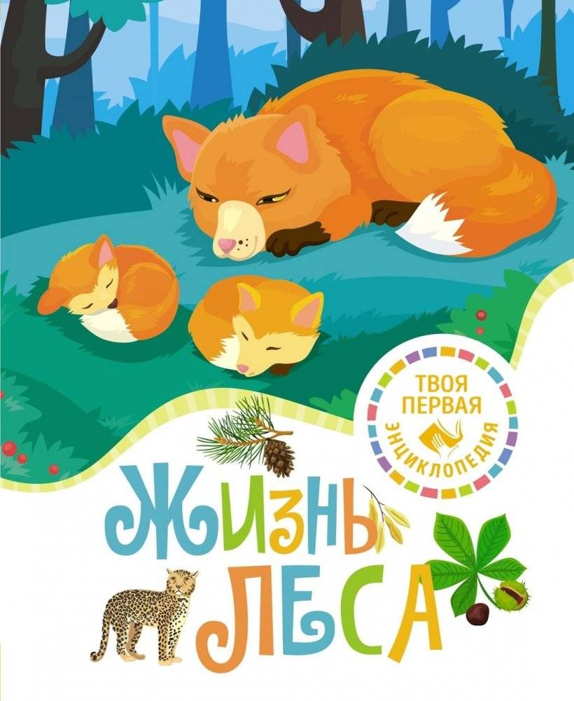 Жизнь леса | The Life of the Forest