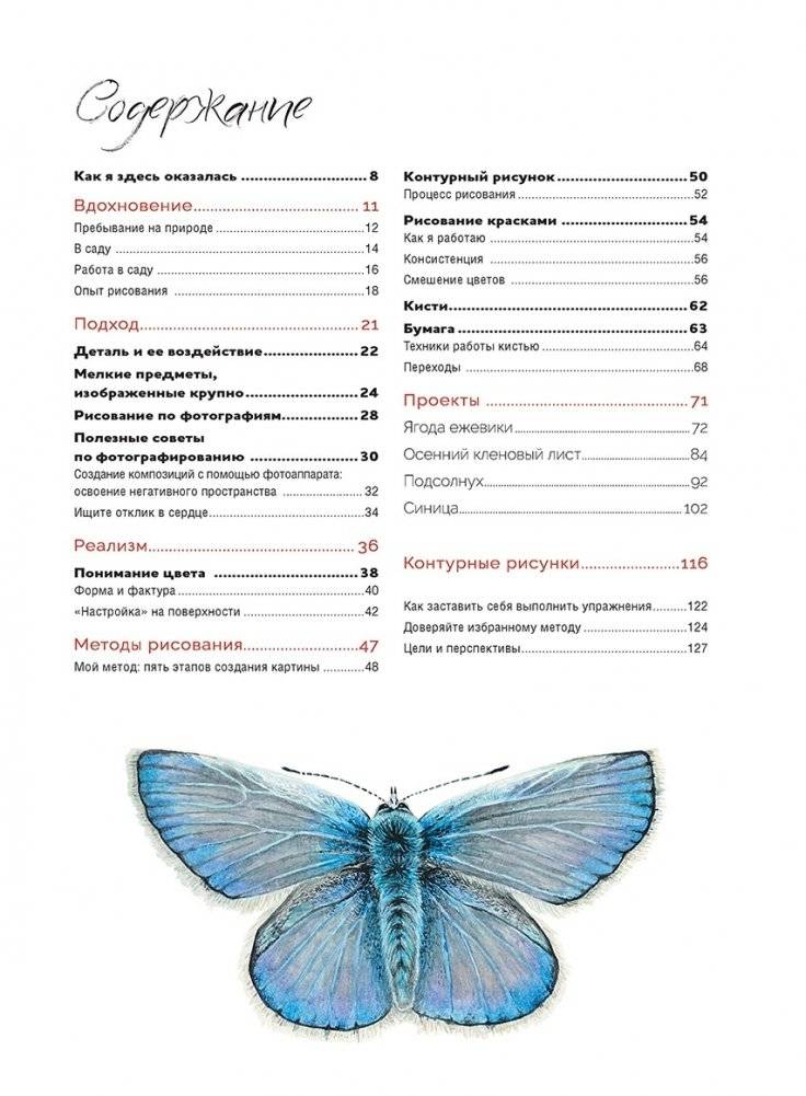 Волшебный мир Анны Мейсон. Рисуем природу. Все секреты реалистичной живописи фото книги 2