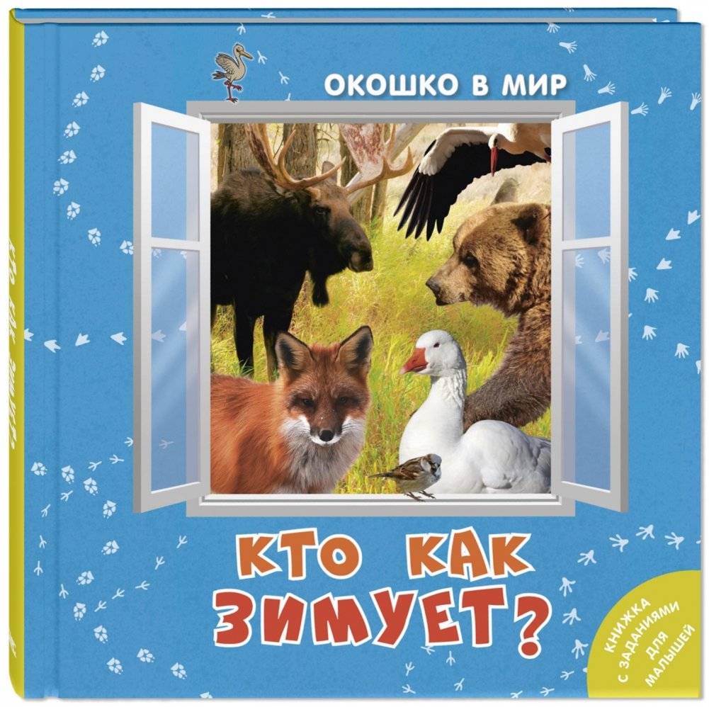 Кто как зимует? | Who's Who in Winter?