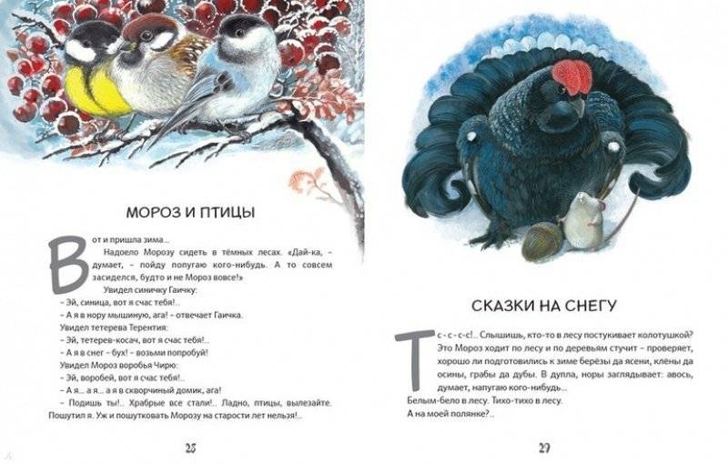 Приключения зайца Пульки и его друзей фото книги 5