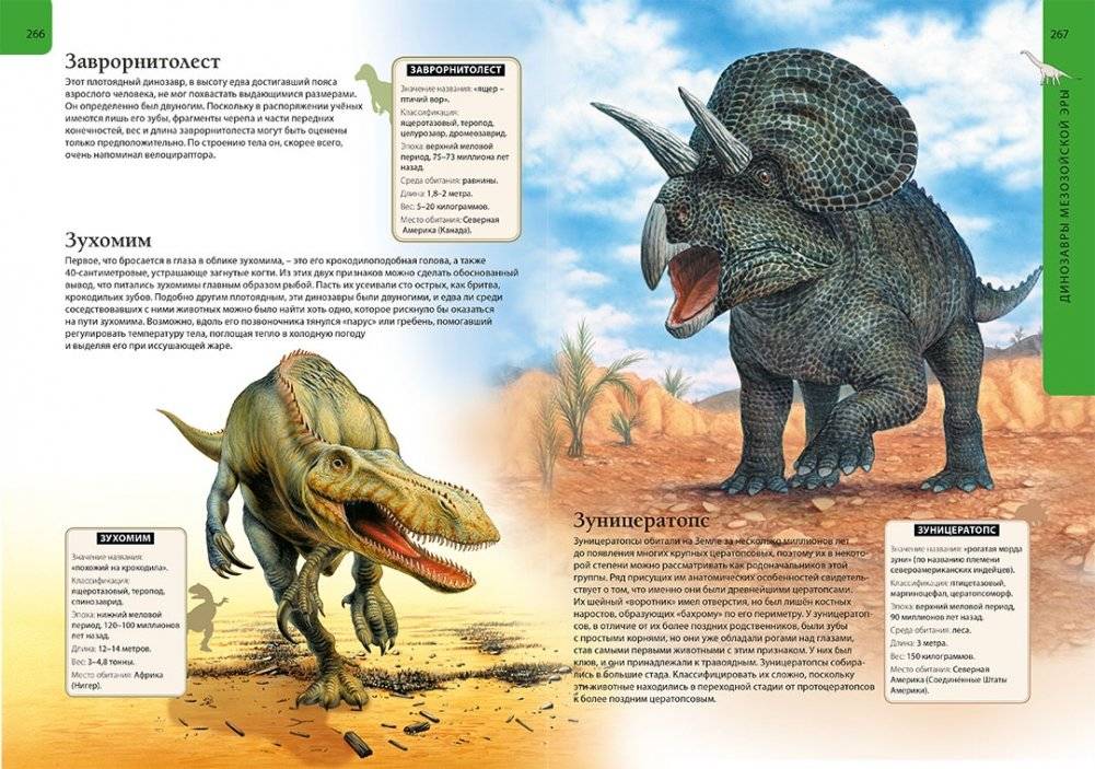 Большая детская энциклопедия динозавров фото книги 7
