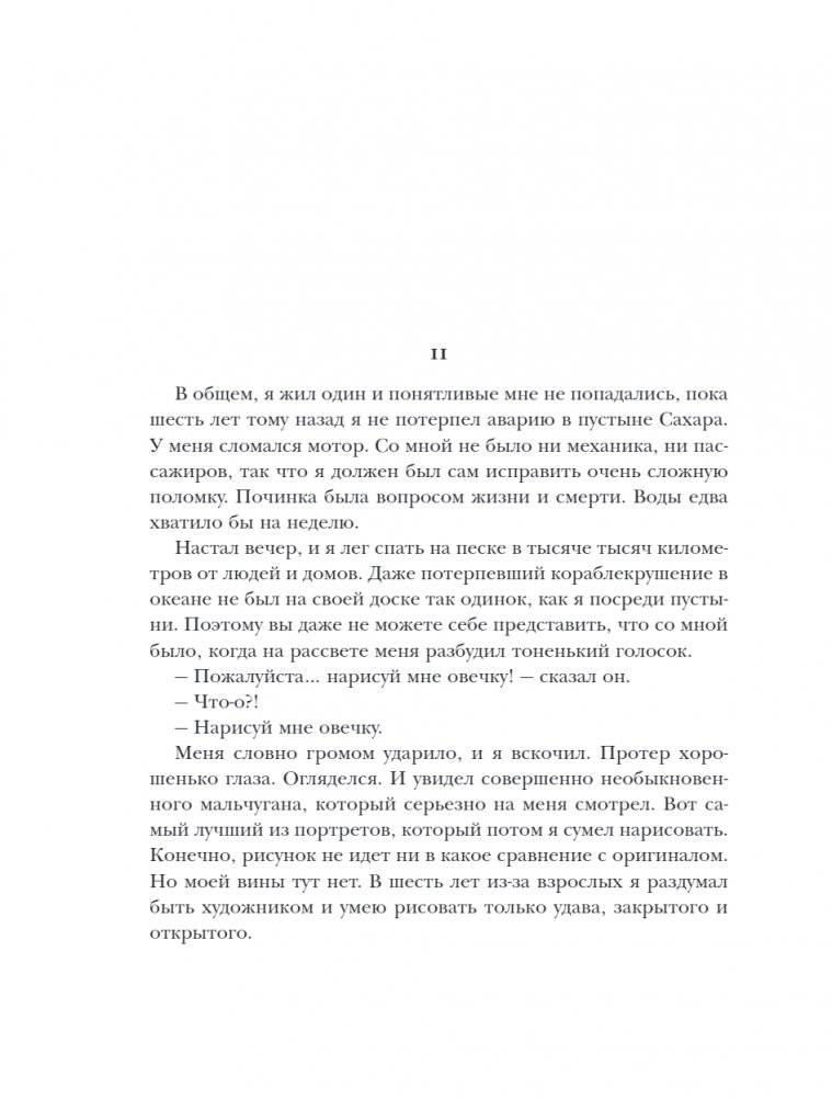Маленький принц и Цитадель фото книги 5