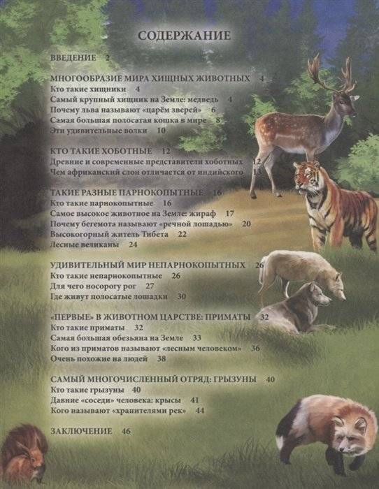 Энциклопедия. Животные фото книги 2