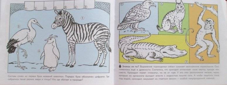 Альбом для раскрашивания. Кошка мяукает, поросенок хрюкает фото книги 5