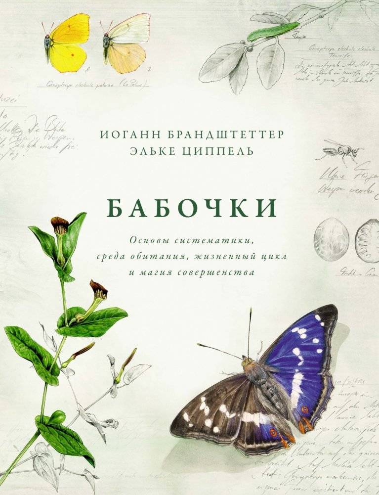 Бабочки. Основы систематики, среда обитания, жизненный цикл и магия совершенства | Butterflies: Systematics, Habitat, Life Cycle, and the Magic of Perfection