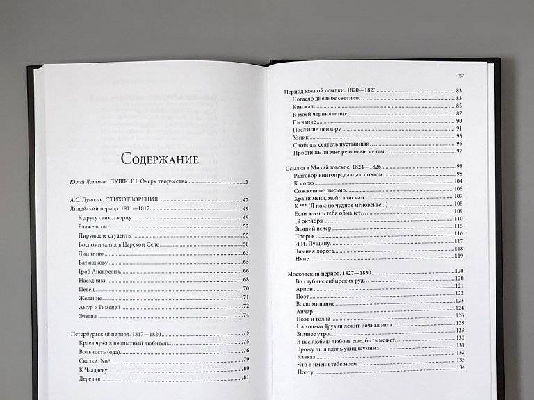 Пушкин. Очерк творчества. С избранными стихотворениями фото книги 2