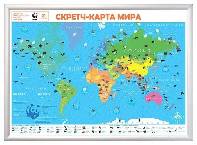 Скретч-карта мира А1 "WWF. Green Edition" | Scratch World Map A1 "WWF. Green Edition"