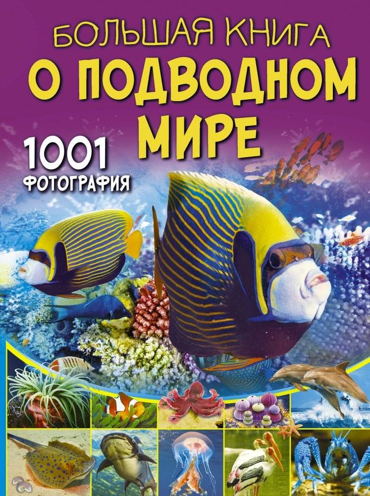 Большая книга о подводном мире. 1001 фотография | The Big Book of the Underwater World: 1001 Photographs