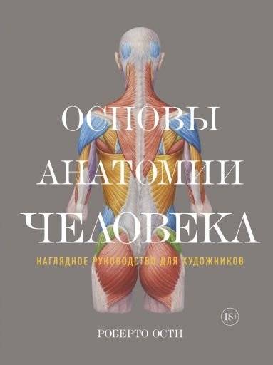 Основы анатомии человека. Наглядное руководство для художников | Human Anatomy Fundamentals: A Visual Guide for Artists