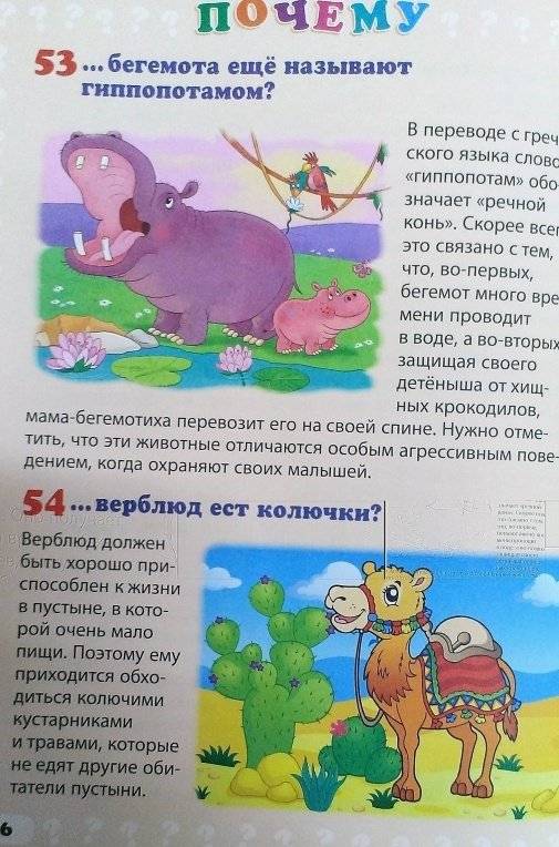 Почему люди не летают? Простые ответы на детские вопросы фото книги 5