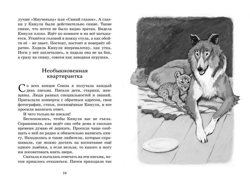 Фомка - белый медвежонок фото книги 7