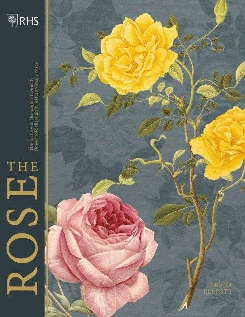 Роза | The Rose