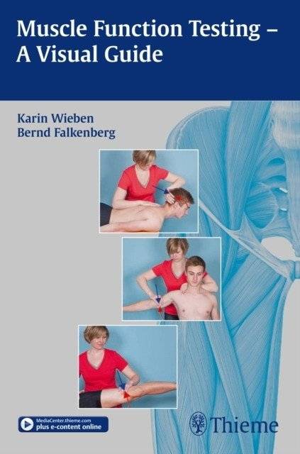 Muscle Function Testing - A Visual Guide | Muscle Function Testing: A Visual Guide
