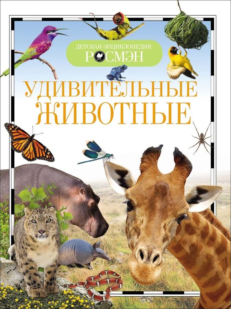 Удивительные животные | Amazing Animals