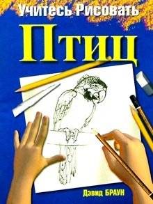 Учитесь рисовать птиц | Learn to Draw Birds