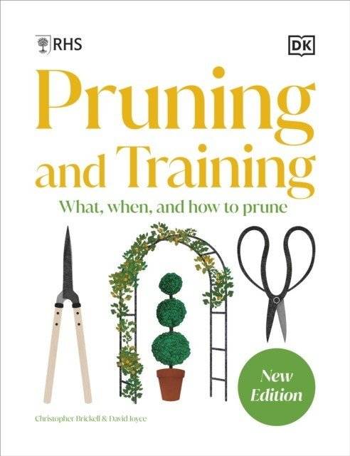 RHS Pruning and Training | RHS Pruning and Training