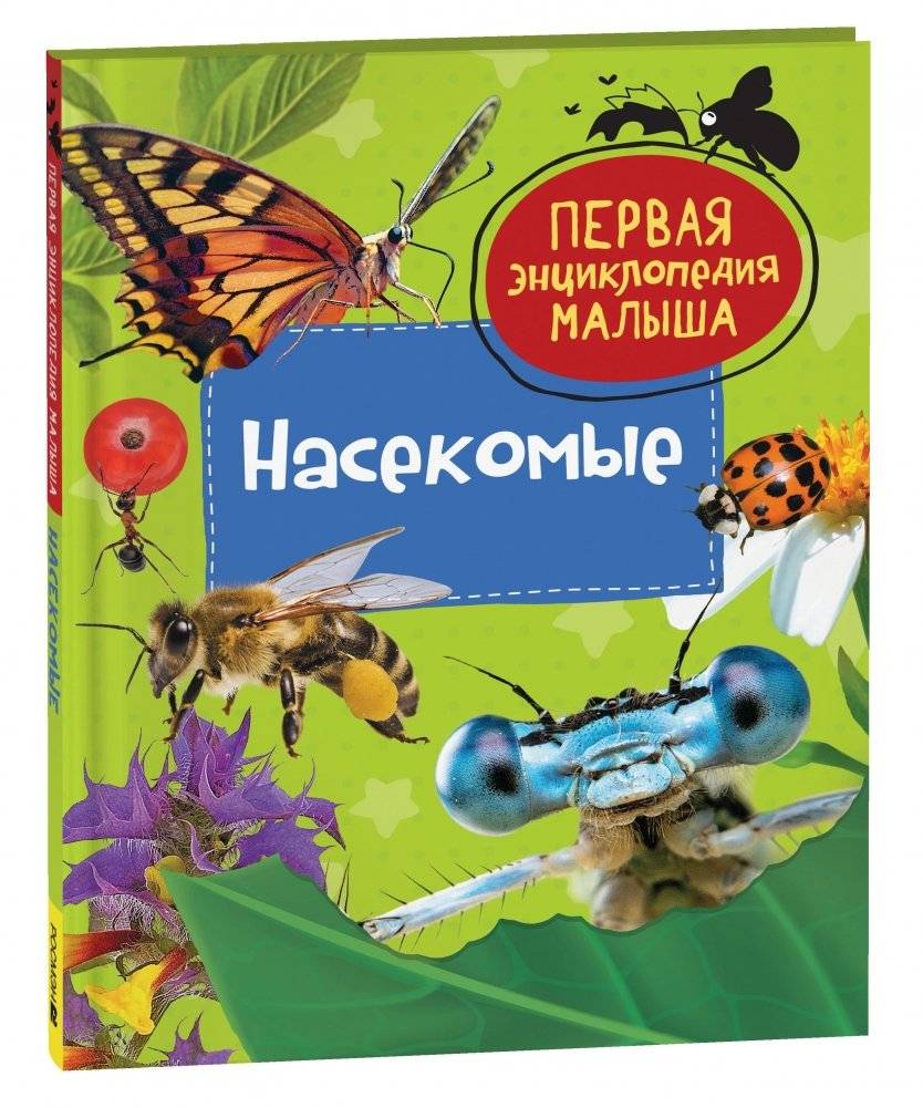 Насекомые. Первая энциклопедия малыша | Insects: My First Encyclopedia for Little Ones