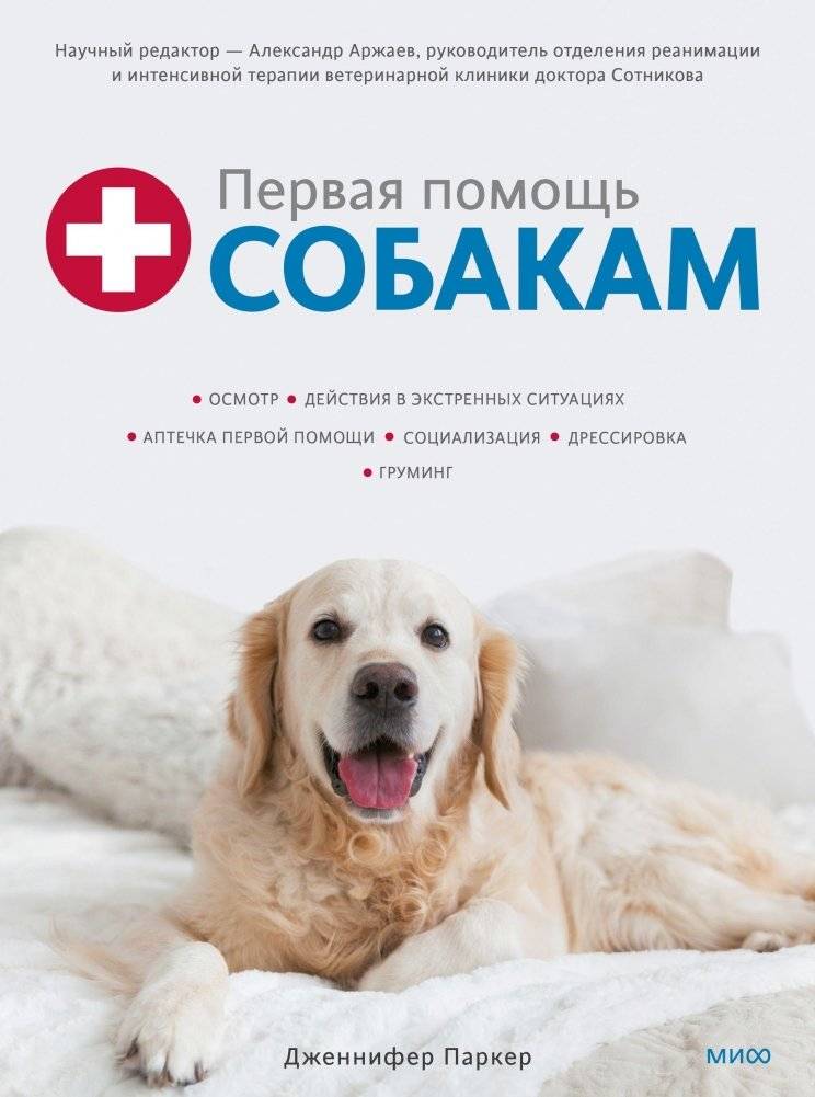 Первая помощь собакам. Осмотр, действия в экстренных ситуациях, аптечка первой помощи, социализация, дрессировка, грумин | Pervaia pomoshch' sobakam. Osmotr, deistviia v ekstrennykh situatsiiakh, aptechka pervoi pomoshch
