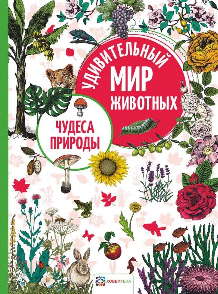 Чудеса природы | Wonders of Nature