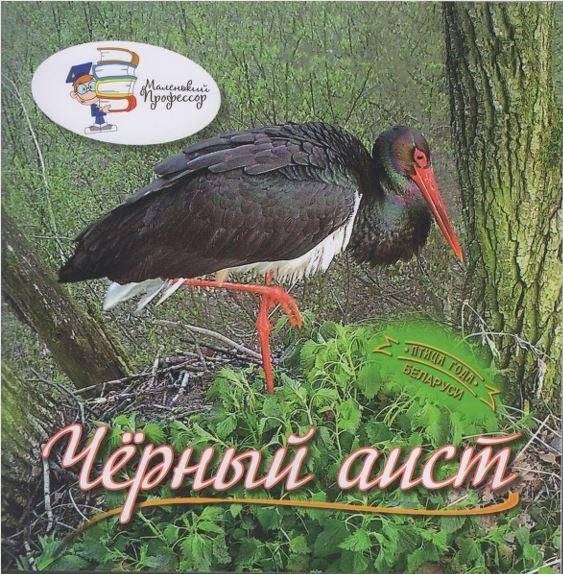 Маленький профессор. Черный аист. Птица года Беларуси | The Little Professor. Black Stork. Bird of the Year Belarus