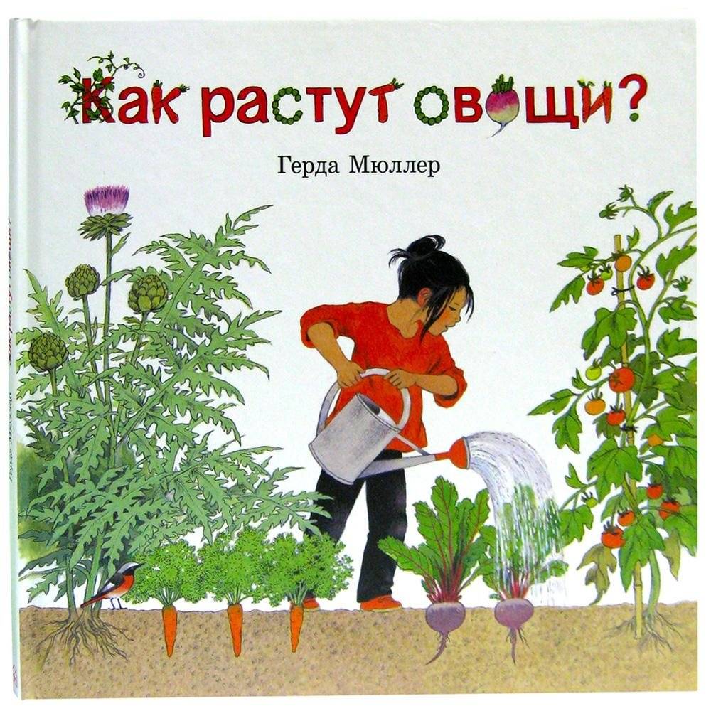Как растут овощи? | How Do Vegetables Grow?