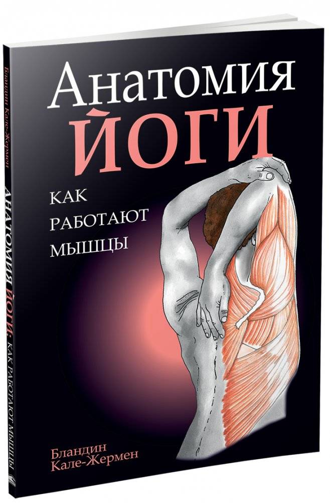 Анатомия йоги. Как работают мышцы | Anatomy of Yoga: How Muscles Work