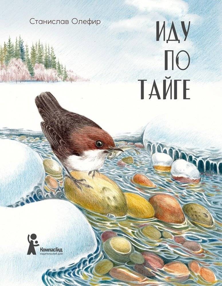 Иду по тайге | Walking Through the Taiga