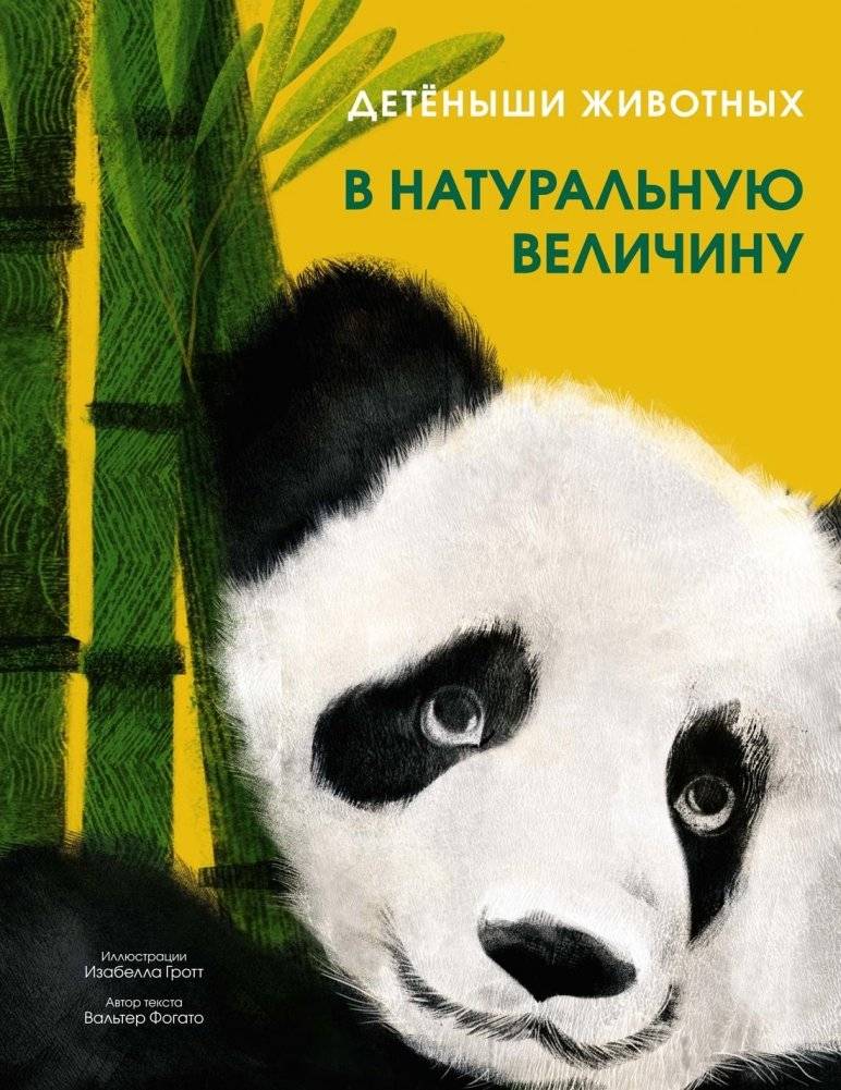 Детёныши животных в натуральную величину | Baby Animals in Real Size
