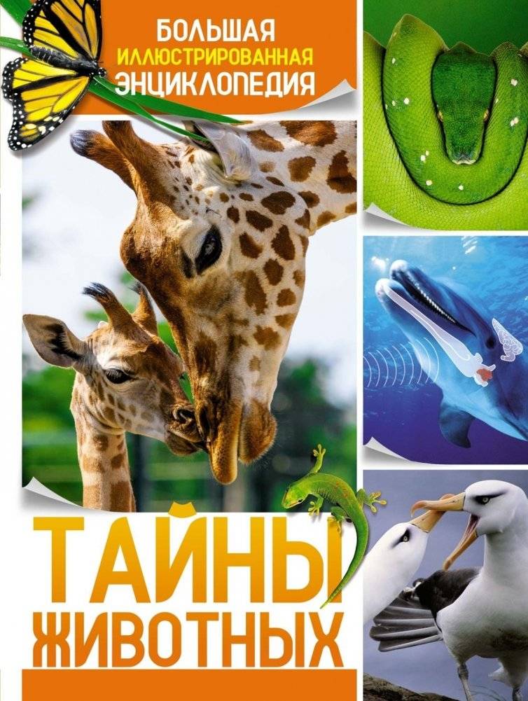 Тайны животных. Большая иллюстрированная энциклопедия | Animal Secrets: A Large Illustrated Encyclopedia