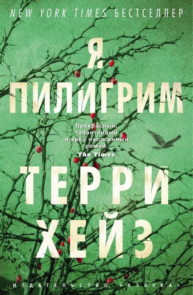 Я Пилигрим | I Am Pilgrim