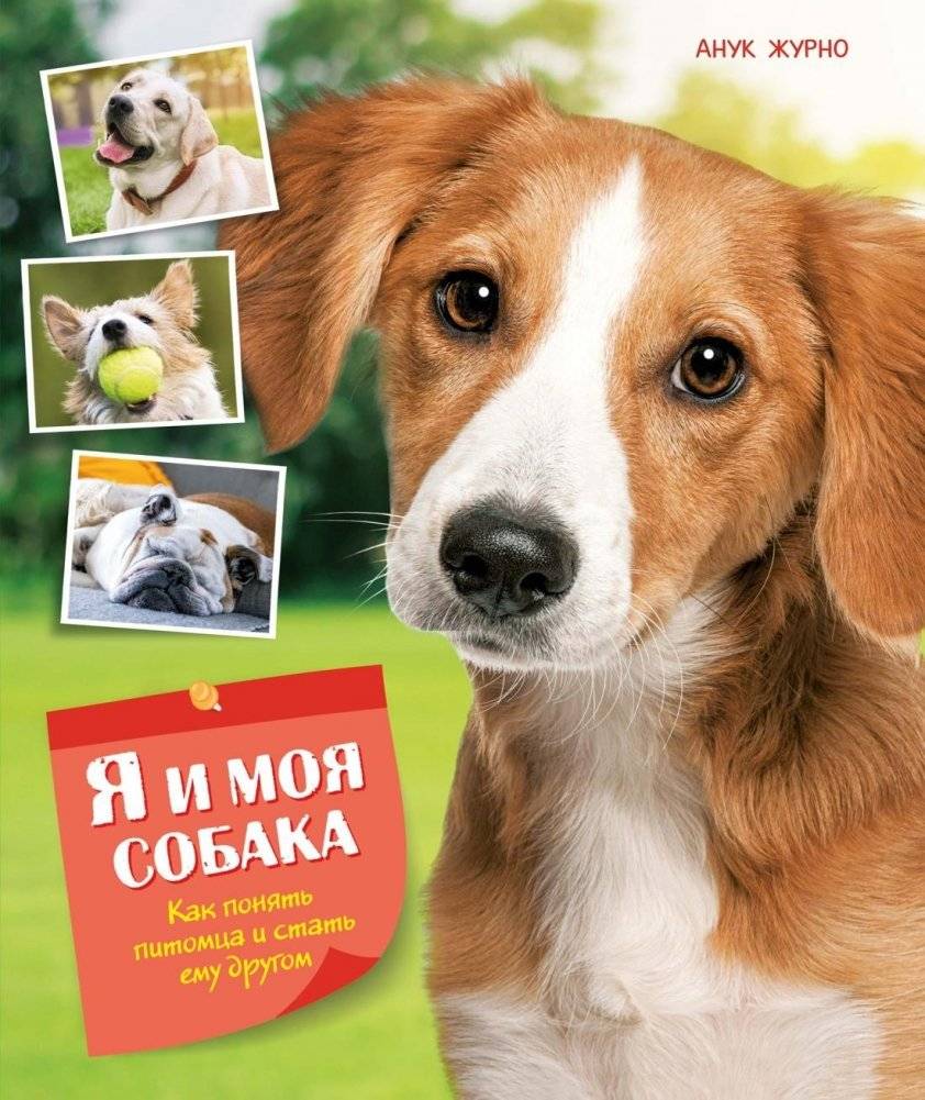 Я и моя собака. Как понять питомца и стать ему другом | Me and My Dog: How to Understand Your Pet and Become Its Friend