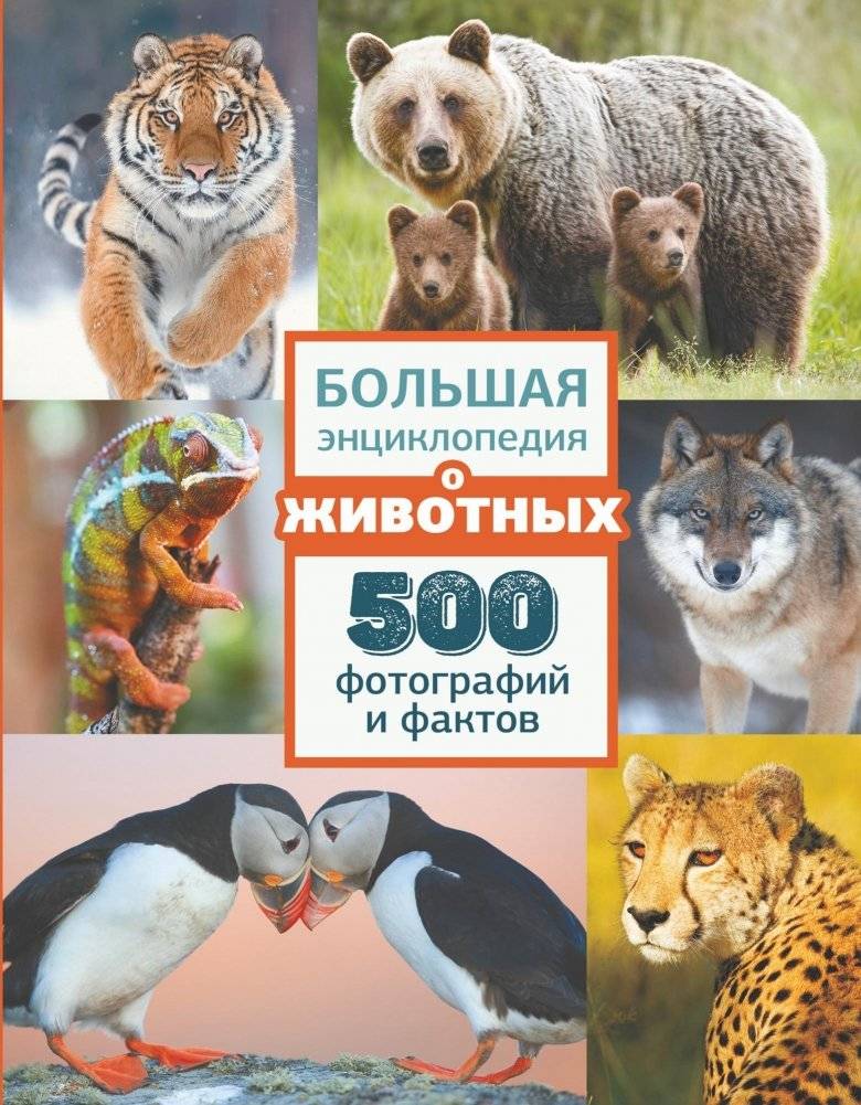 Большая энциклопедия о животных. 500 фотографий и фактов | The Great Encyclopedia of Animals: 500 Photos and Facts