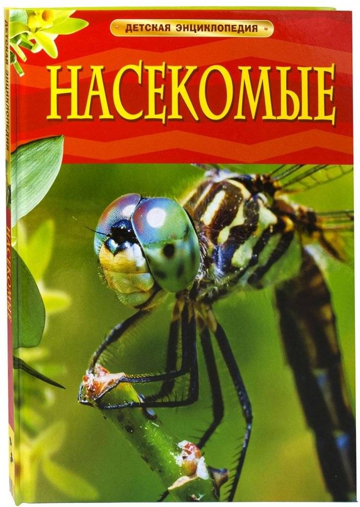 Насекомые. Детская энциклопедия | Insects: A Children's Encyclopedia