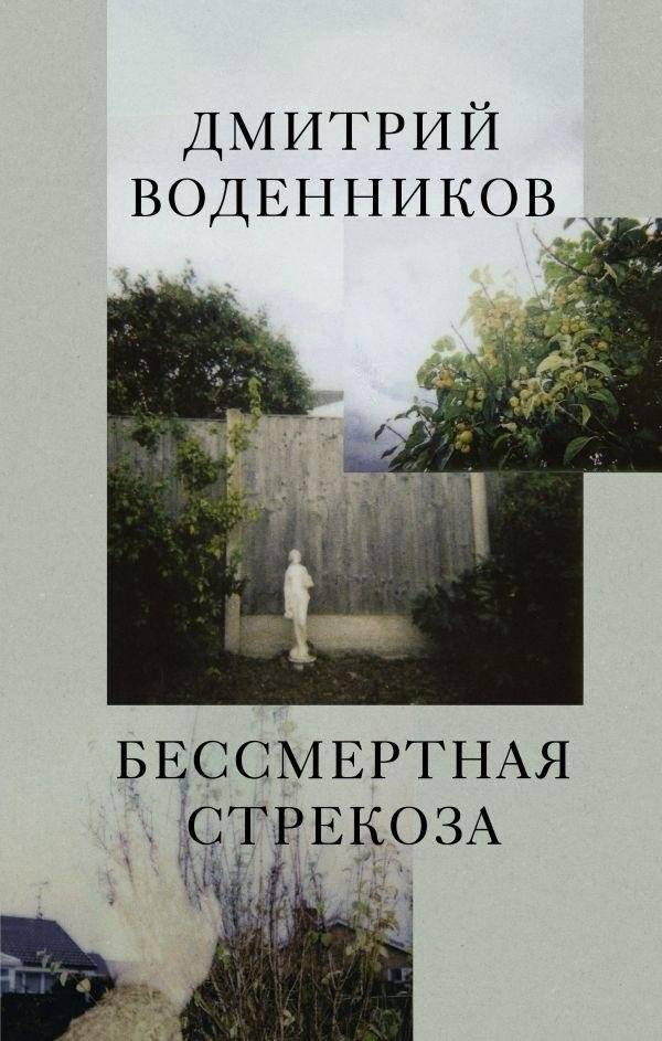 Бессмертная стрекоза | The Immortal Dragonfly