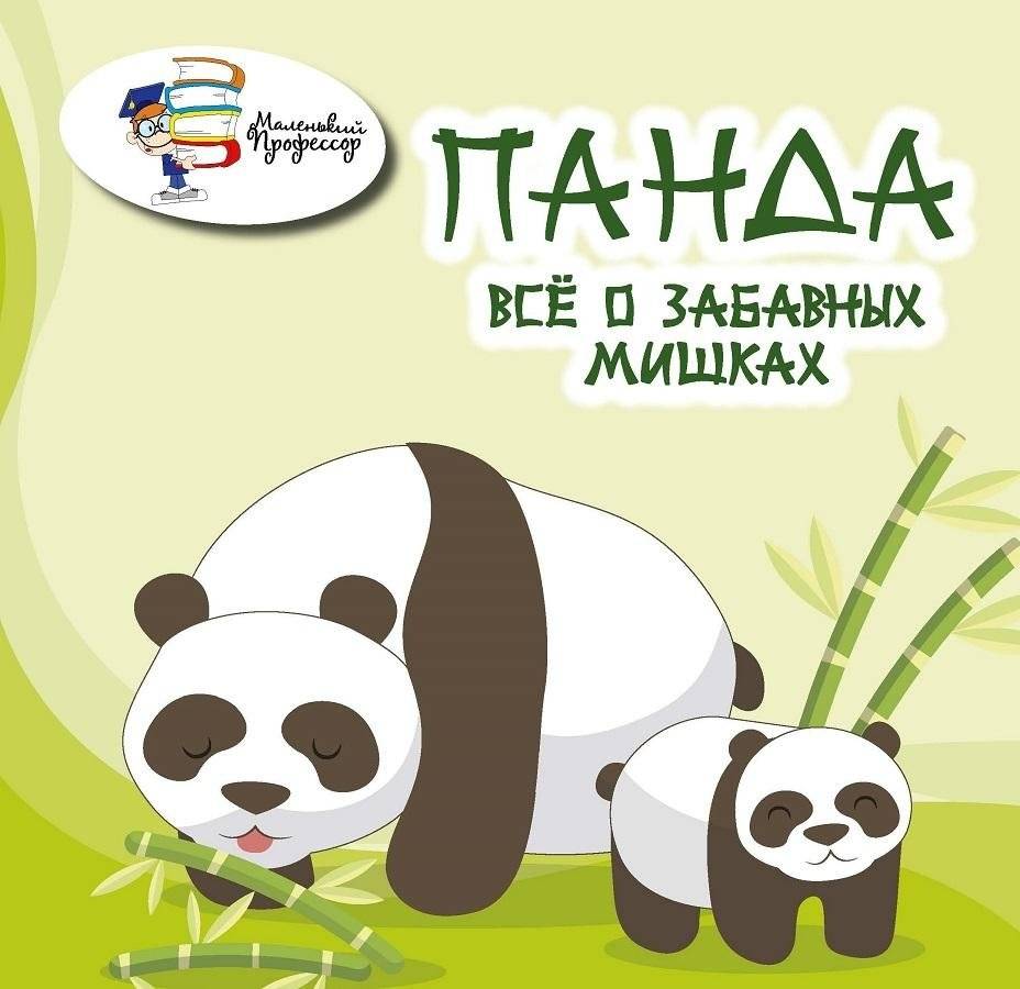 Панда: всё о забавных мишках | Panda: All About the Amusing Bears