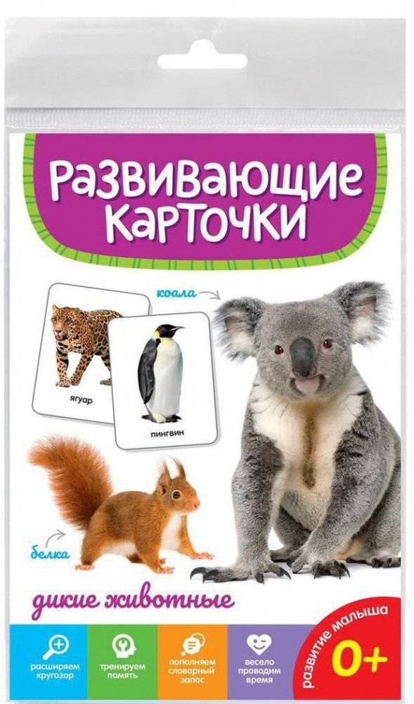 Развивающие карточки. Дикие животные | Educational cards. Wild animals