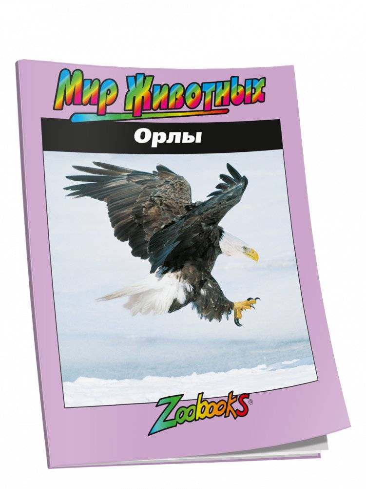 Орлы | Eagles