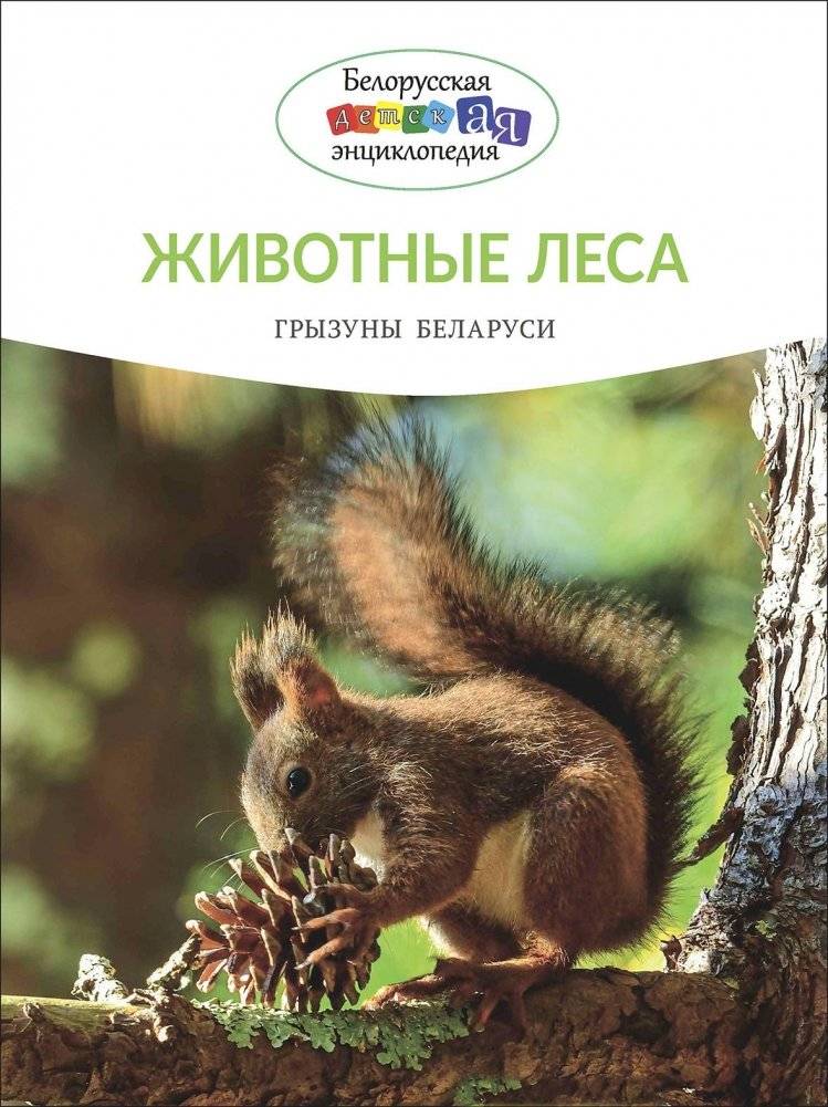 Животные леса. Грызуны Беларуси | Forest Animals: Rodents of Belarus