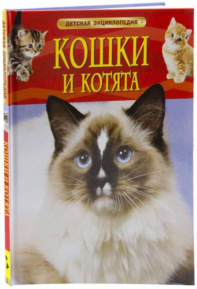 Кошки и котята | Koshki i kotiata