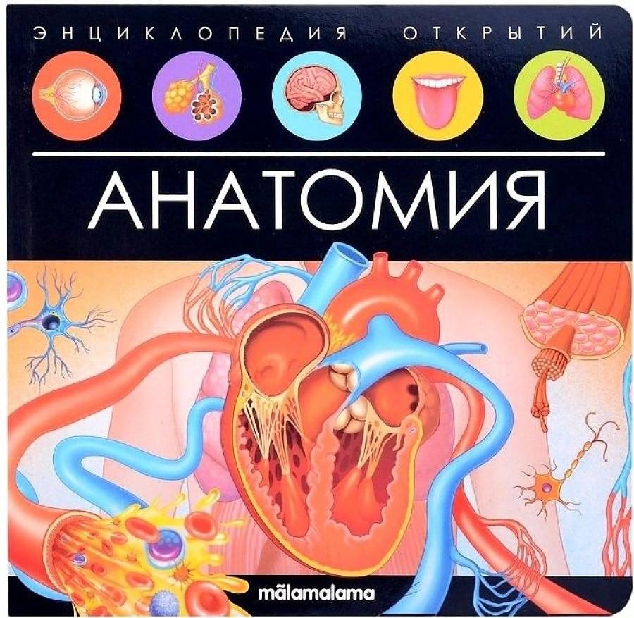 Анатомия. Энциклопедия открытий | Anatomy: Encyclopedia of Discoveries